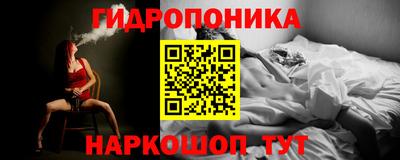 кокс Гатчина