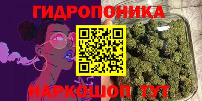 ешки Гагарин