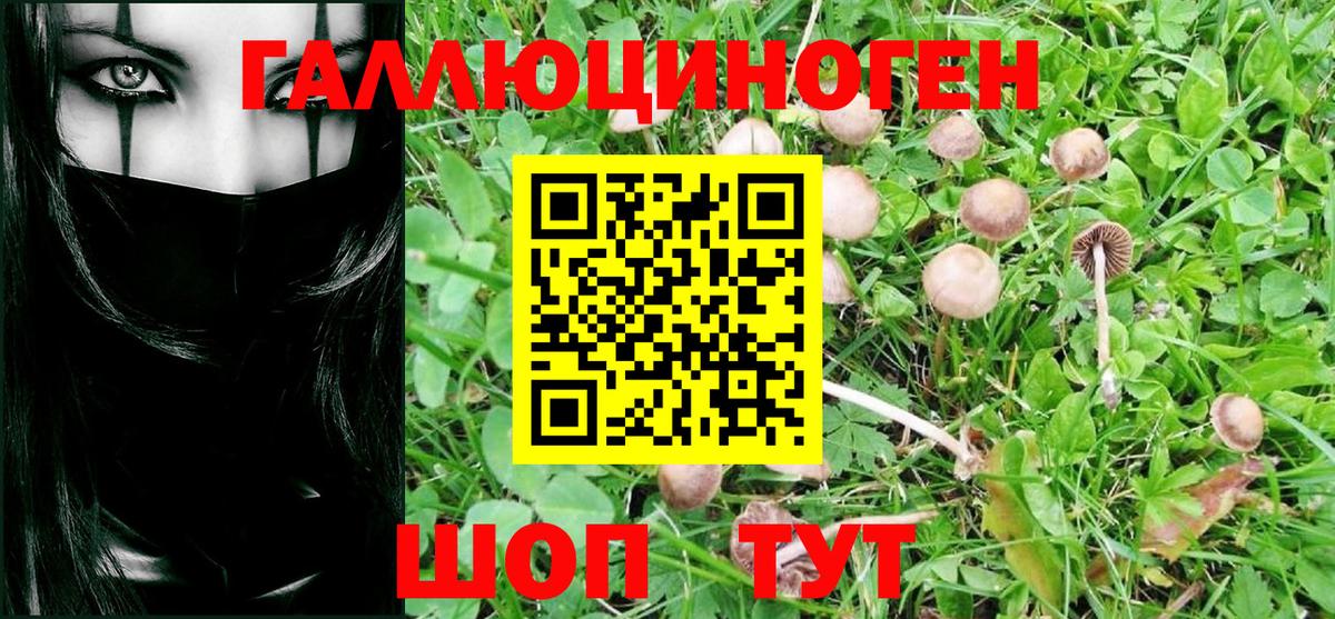 Галлюциногенные грибы мухоморы Новый Уренгой