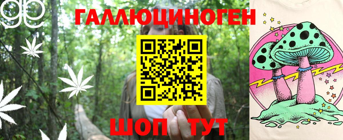 Галлюциногенные грибы ЛСД  Псилоцибиновые грибы Magic Shrooms  купить наркотик  Новый Уренгой  Вход с VPN 